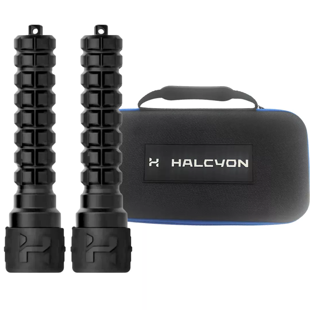 Halcyon Photon Light Kit - 2 x Photon - Image 3
