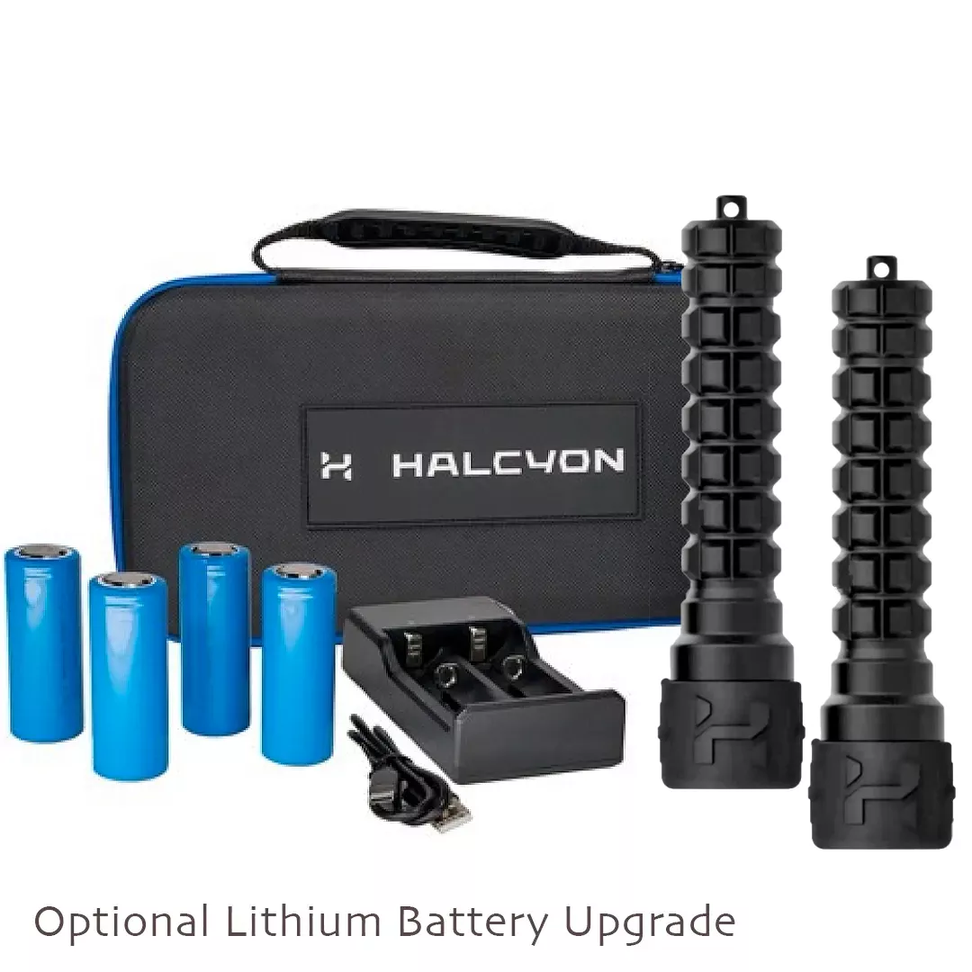 Halcyon Photon Light Kit - 2 x Photon - Image 6