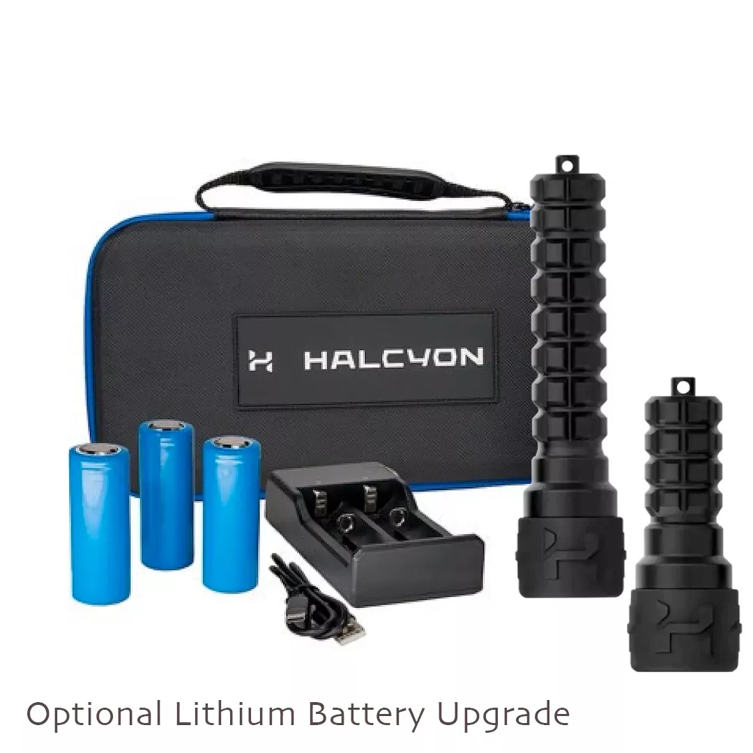 Halcyon Photon Light Kit - Photon & Mini Photon - Image 6