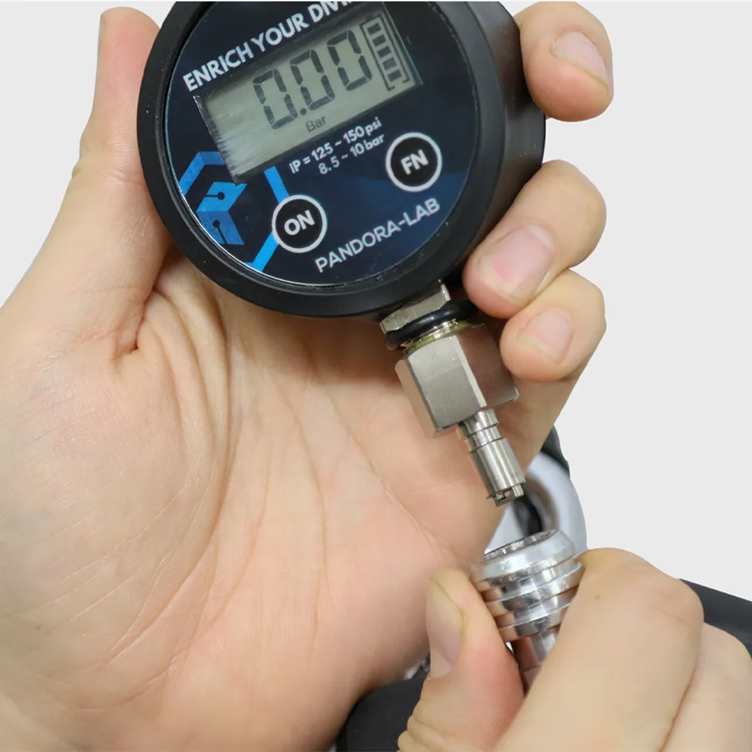 Pandora Lab Digital Intermediate Pressure Gauge - Image 3